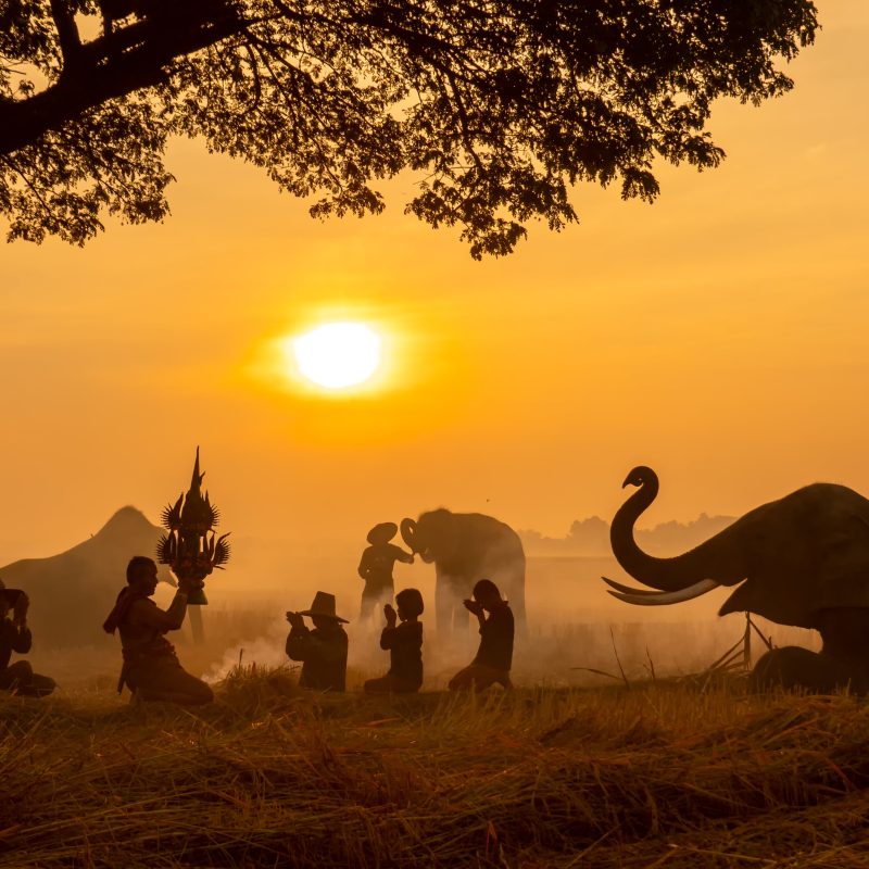 Tailandia y Vietnam-min