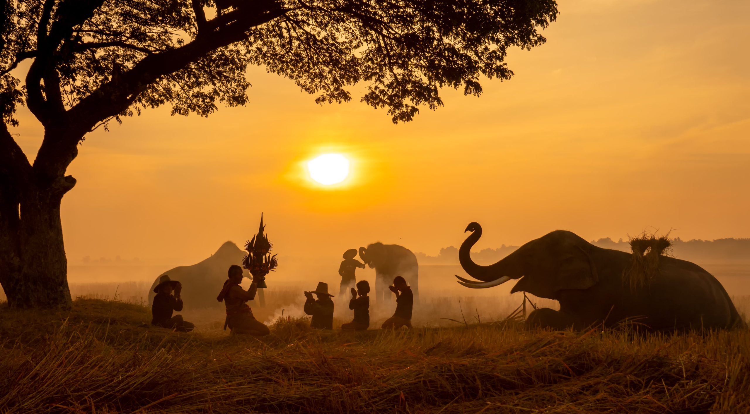 Maravillas de Tailandia y Vietnam: datos clave para planificar tu viaje