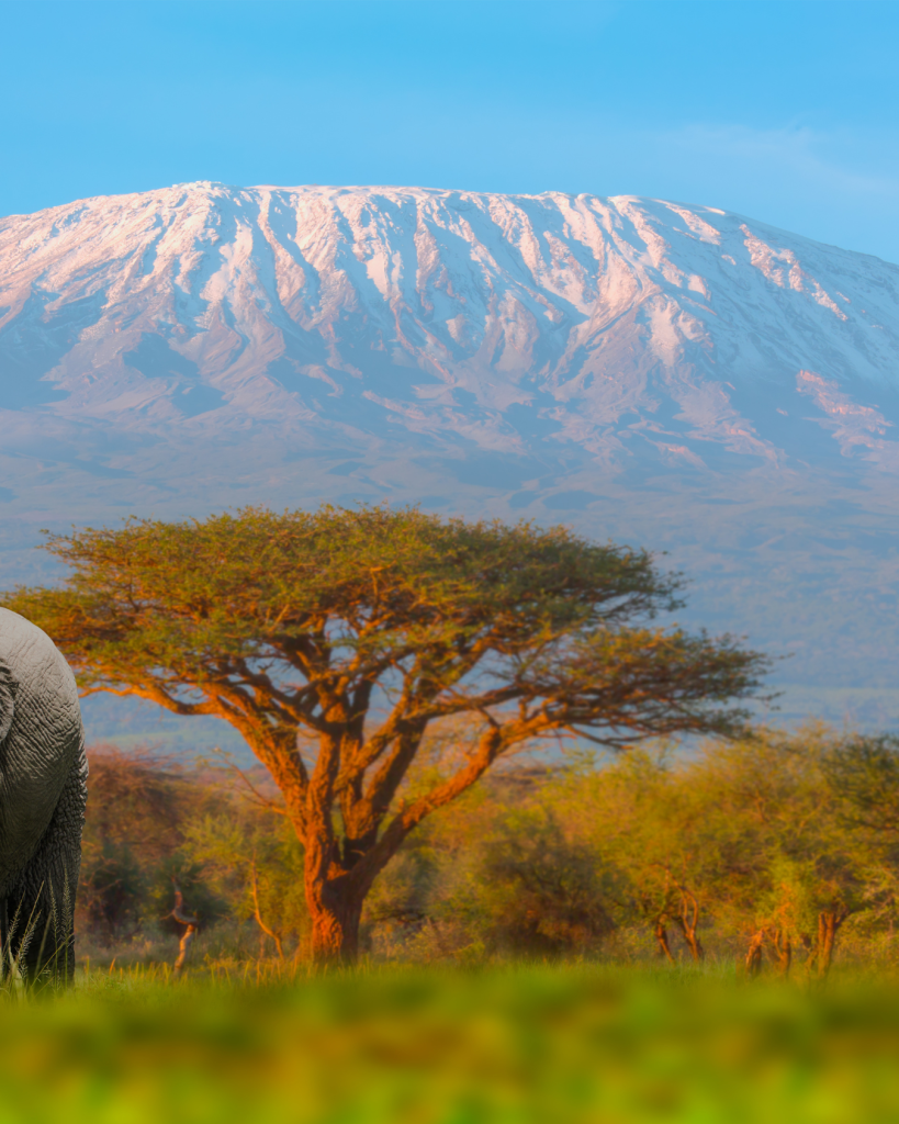Monte Kenia - Kenya